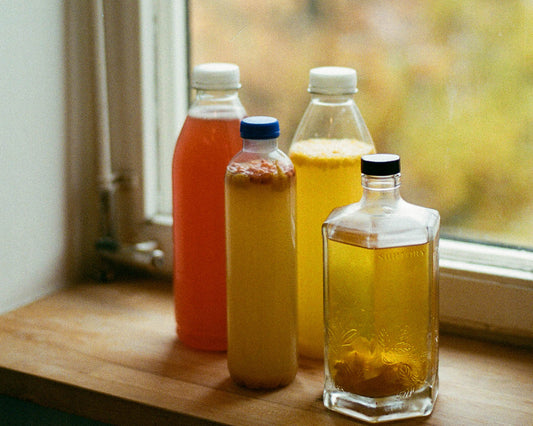 Kombucha by Olivia Henriksson