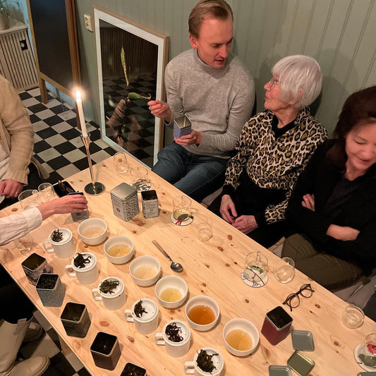 Tea tasting in Stockholm
