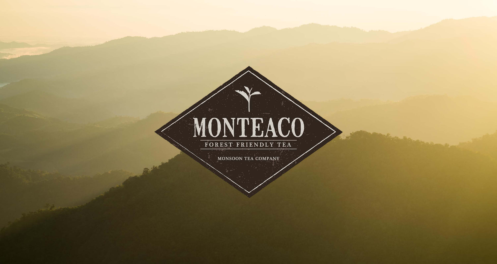 Load video: Monteaco Forest Friendly Tea