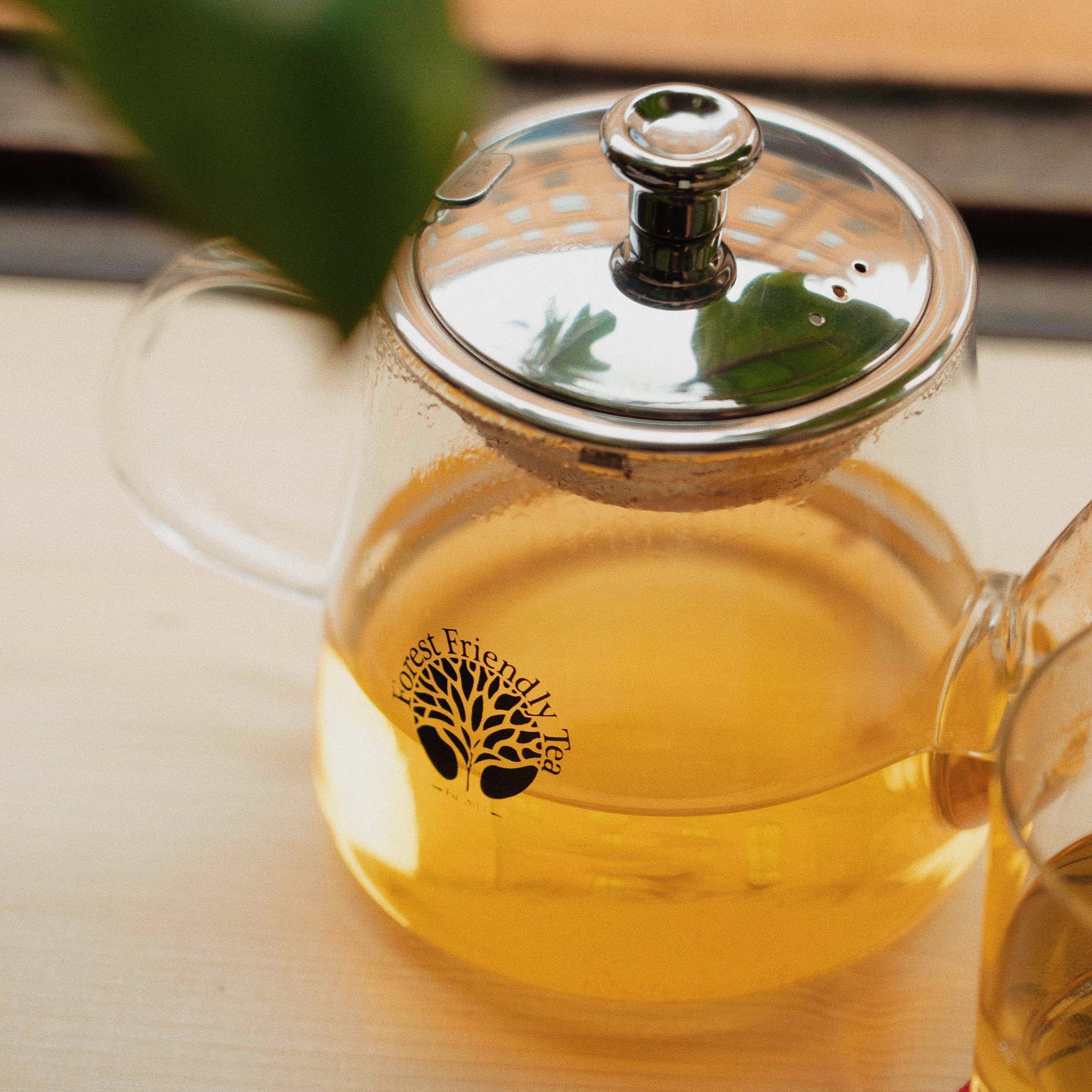 Forest Friendly Tea Pot - MONTEACO